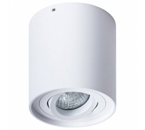 Накладной светильник Arte Lamp Falcon A5645PL-1WH