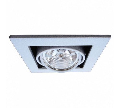 Встраиваемый светильник Arte Lamp Cardani Medio A5930PL-1SI