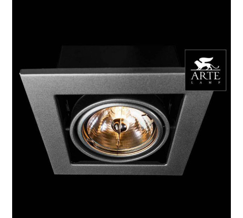 Встраиваемый светильник Arte Lamp Cardani Medio A5930PL-1SI