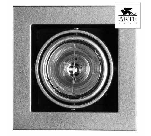 Встраиваемый светильник Arte Lamp Cardani Medio A5930PL-1SI
