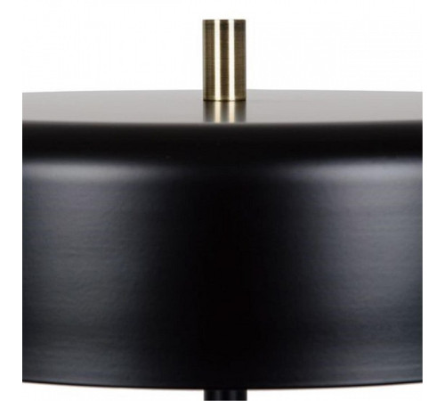 Торшер Arte Lamp Skat A7052PN-2BK