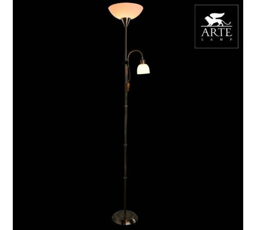 Торшер с подсветкой Arte Lamp Duetto A9569PN-2AB