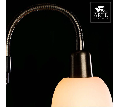 Торшер с подсветкой Arte Lamp Duetto A9569PN-2AB