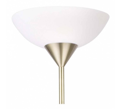 Торшер с подсветкой Arte Lamp Duetto A9569PN-2AB