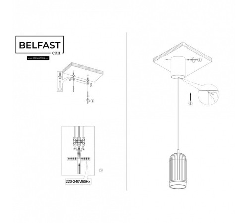 Подвесной светильник Belfast PINERIDGE FS-380-D1 BR