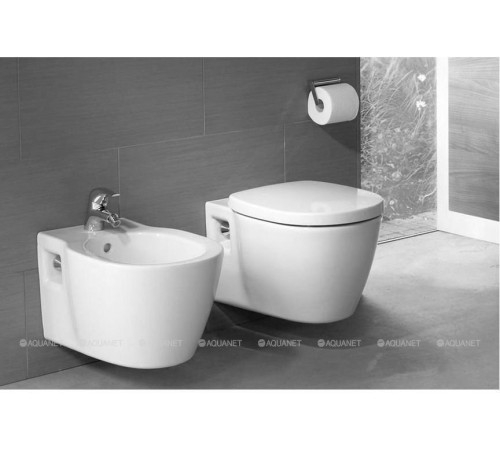 Унитаз подвесной Ideal Standard Connect E803501