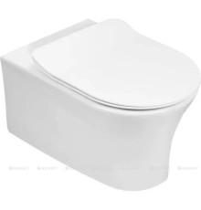 Унитаз подвесной Jacob Delafon ALEO 505х365 мм без сиденья EDAH132-0