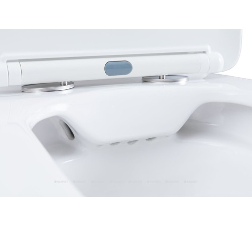 Чаша напольного унитаза Aquanet Fine-C Rimless с сиденьем Soft Close Slimseat FINE-C