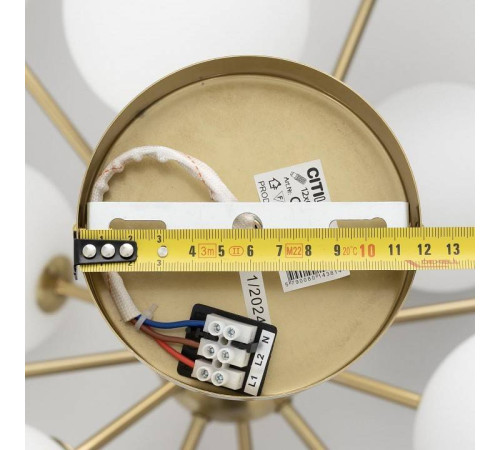 Люстра на штанге Citilux Tonga CL212183