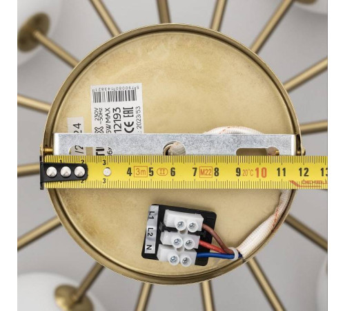 Люстра на штанге Citilux Tonga CL212193