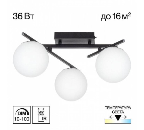 Потолочная люстра Citilux Dorsy CL223132