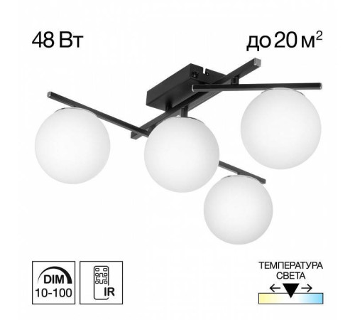 Потолочная люстра Citilux Dorsy CL223142