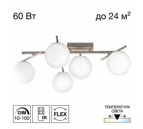 Потолочная люстра Citilux Dorsy CL223151