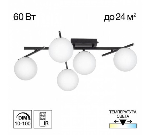 Потолочная люстра Citilux Dorsy CL223152