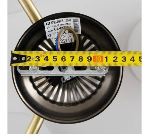 Люстра на штанге Citilux Франческа CL417133