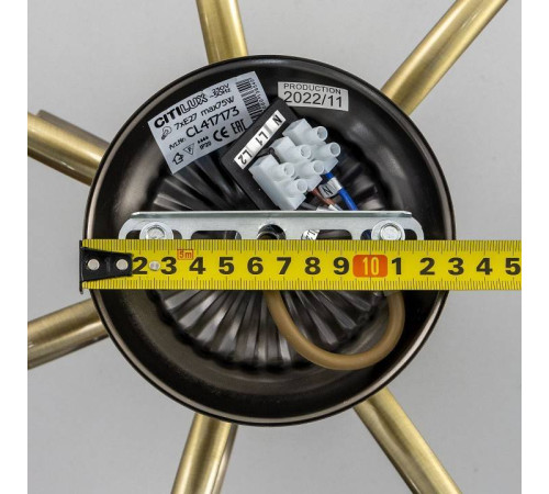 Люстра на штанге Citilux Франческа CL417173
