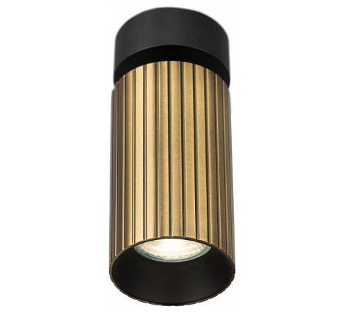 Накладной светильник Citilux AXEL CL512213R