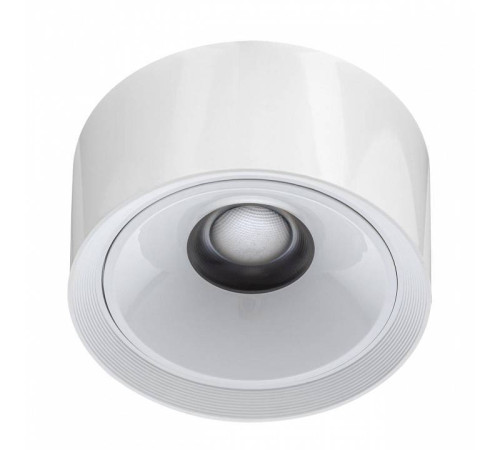 Накладной светильник Citilux Rover CL743060N