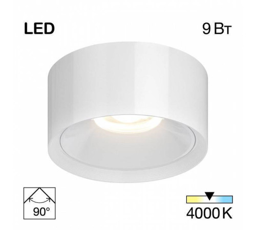 Накладной светильник Citilux Rover CL743090N