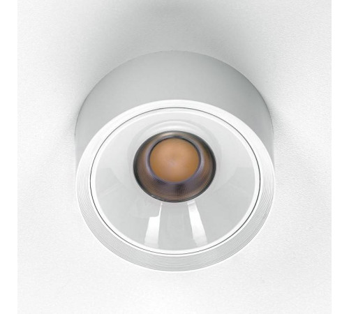 Накладной светильник Citilux Rover CL743090N