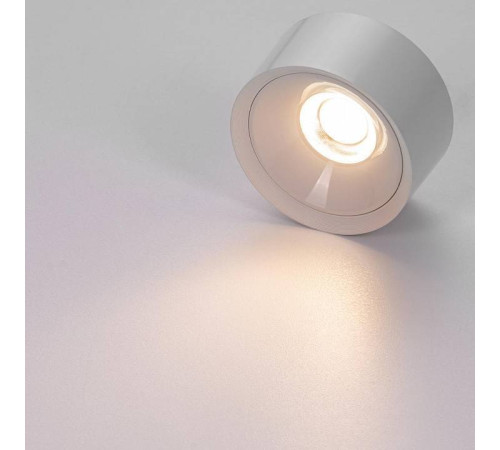 Накладной светильник Citilux Rover CL743090N