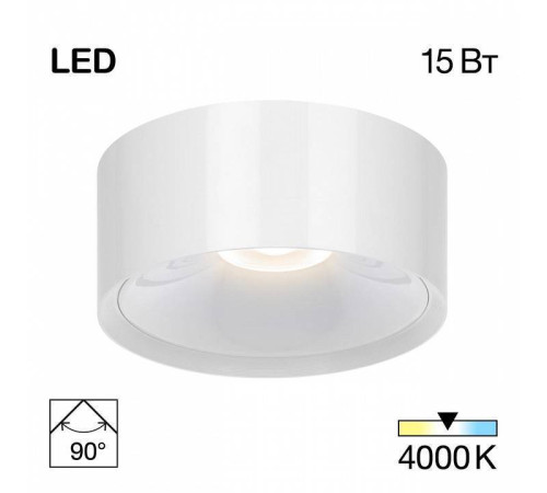 Накладной светильник Citilux Rover CL743150N