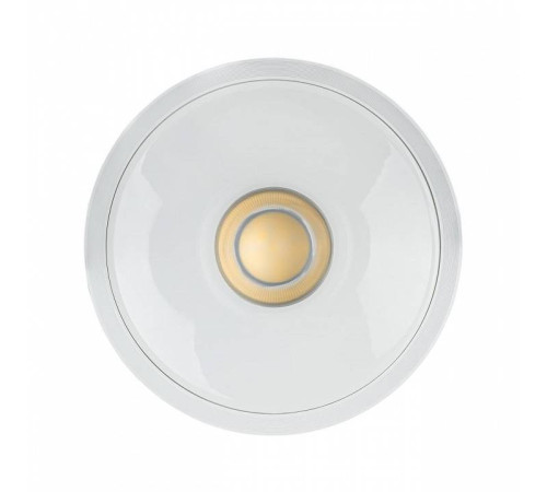 Накладной светильник Citilux Rover CL743150N