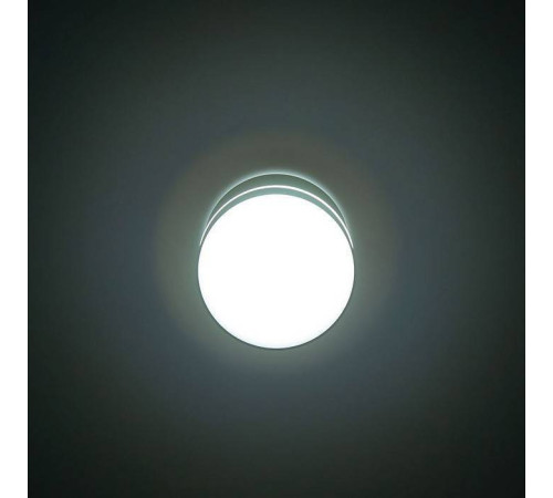 Накладной светильник Citilux Борн CL745021N