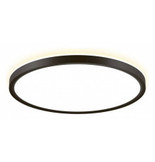 Накладной светильник Citilux NORMA CL748321