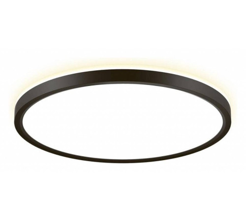 Накладной светильник Citilux NORMA CL748321