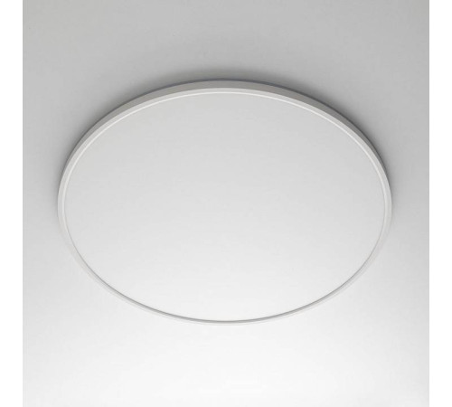 Накладной светильник Citilux NORMA CL749600