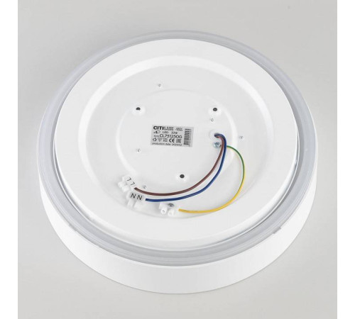 Накладной светильник Citilux BOSS CL751250G