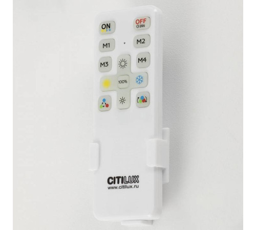 Накладной светильник Citilux BOSS CL751250G