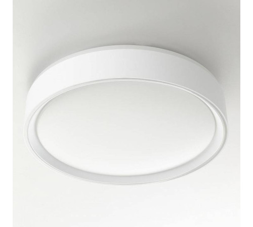 Накладной светильник Citilux BOSS CL751250G