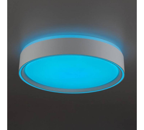 Накладной светильник Citilux BOSS CL751250G