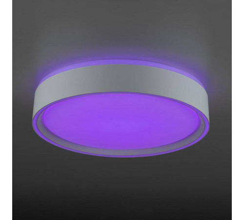 Накладной светильник Citilux BOSS CL751250G