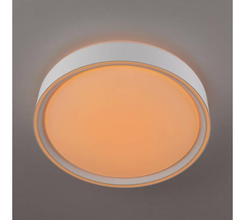 Накладной светильник Citilux BOSS CL751250G