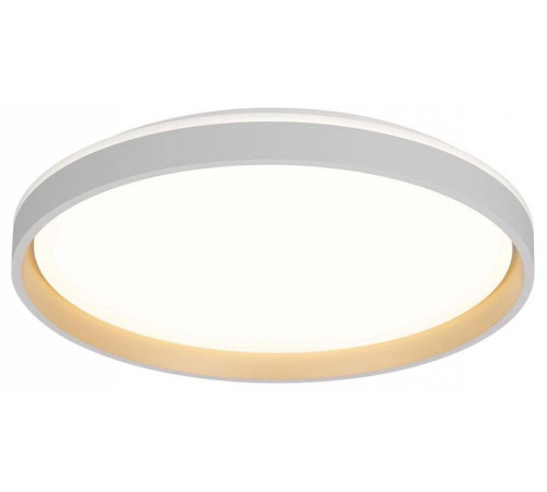 Накладной светильник Citilux ENZO CL753510G