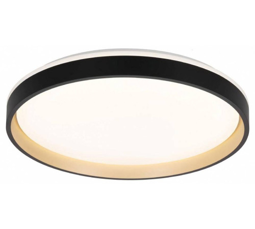 Накладной светильник Citilux ENZO CL753511G