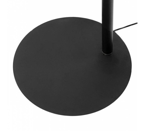 Торшер Citilux Тевин CL806031