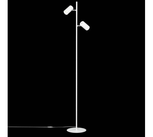 Торшер Citilux Twin CL809010N