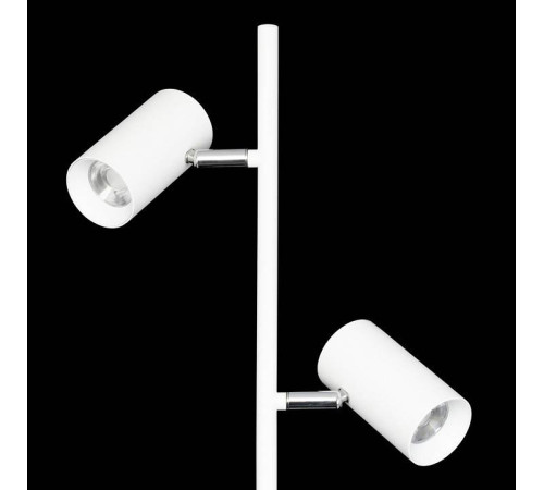 Торшер Citilux Twin CL809010N