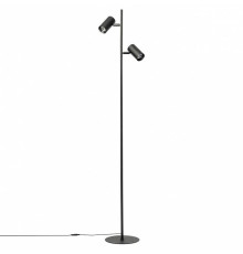 Торшер Citilux Twin CL809011N