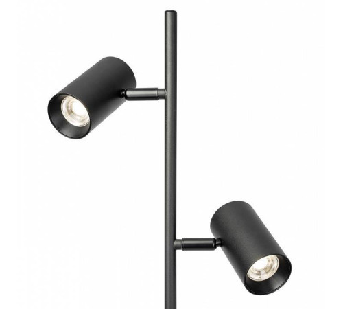 Торшер Citilux Twin CL809011N