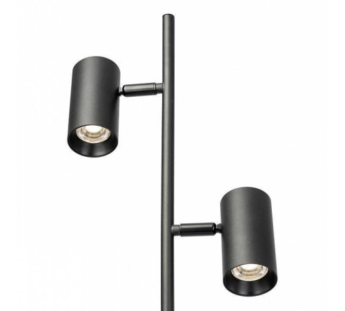 Торшер Citilux Twin CL809011N