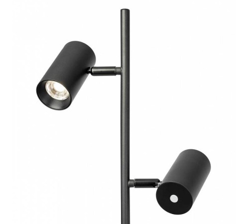 Торшер Citilux Twin CL809011N