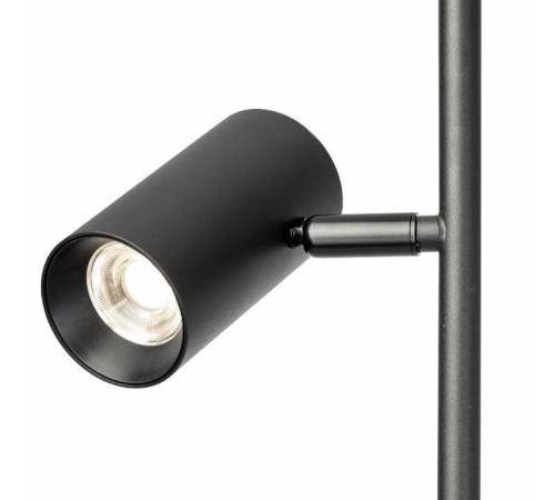 Торшер Citilux Twin CL809011N