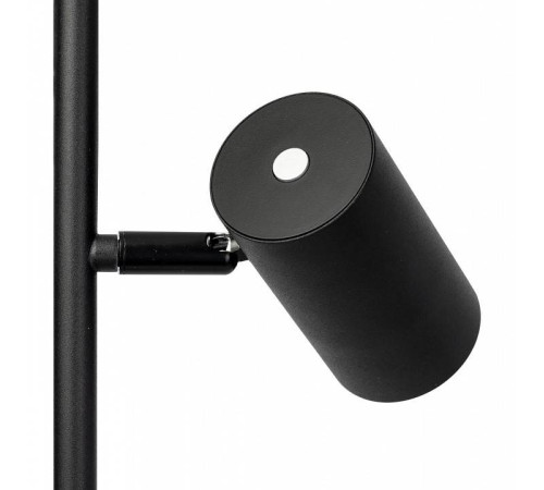 Торшер Citilux Twin CL809011N