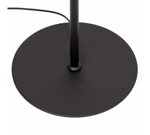 Торшер Citilux Twin CL809011N