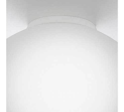 Накладной светильник Citilux RON CL941D25B0